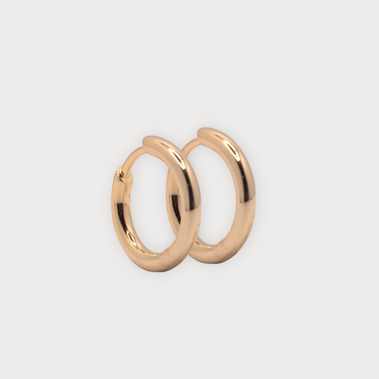 Essentiá - oorringen 18-karaat verguld